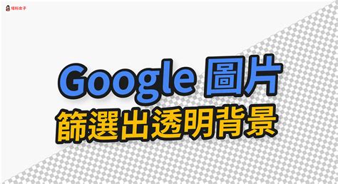 拍照查詢物品|Google 圖片